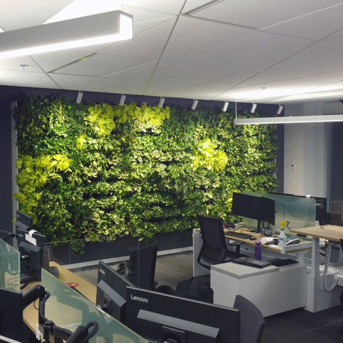 Mur végétal - mur vert - bureau Solar - NextGen