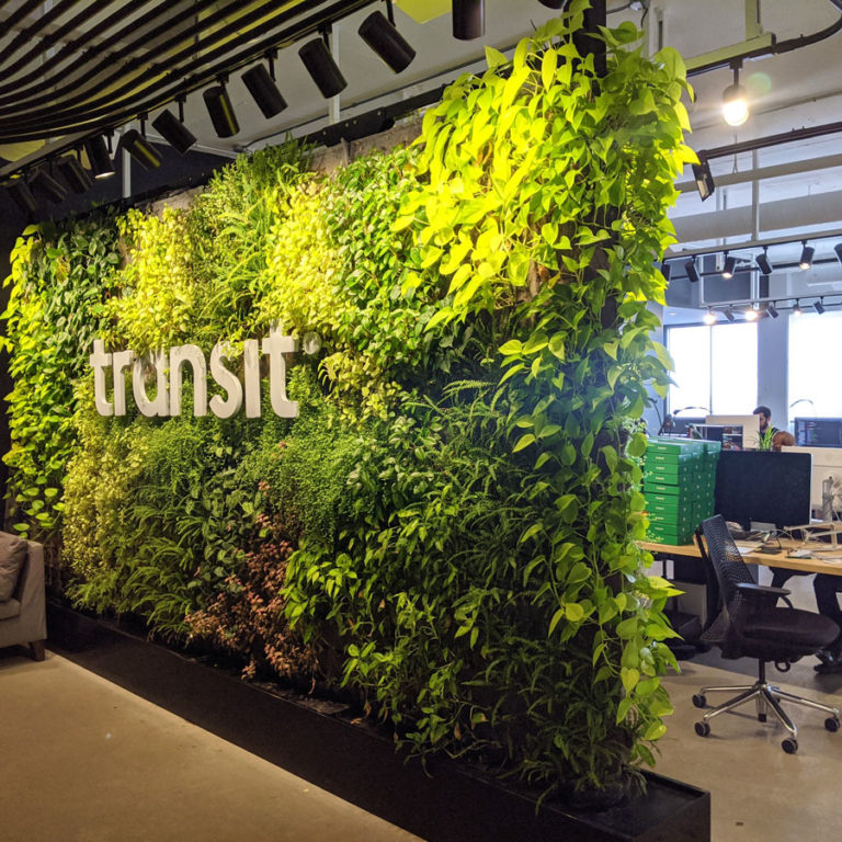 mur végétal hydroponique - La ligne verte - Mur vert Transit - Montréal