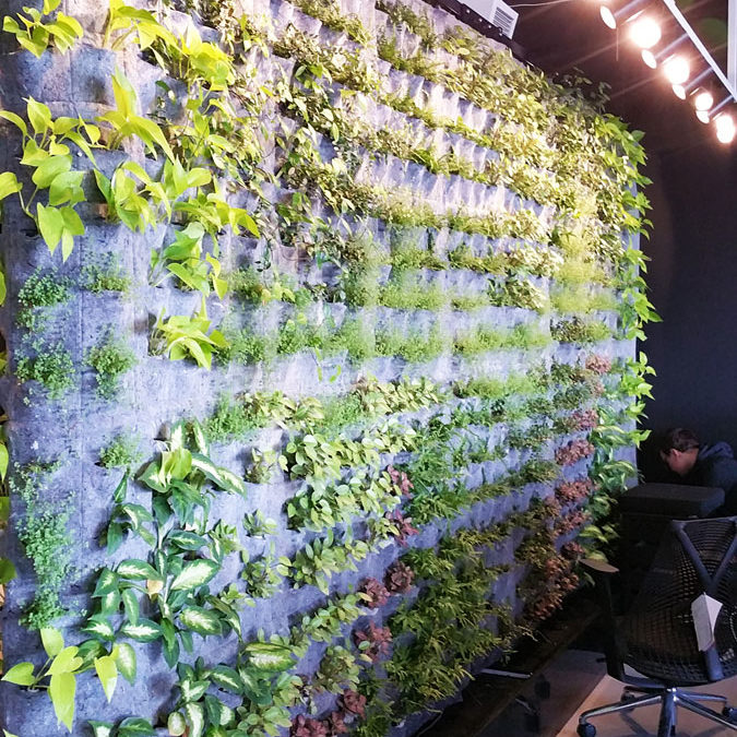 mur végétal hydroponique - La ligne verte - Mur vert Transit - Montréal
