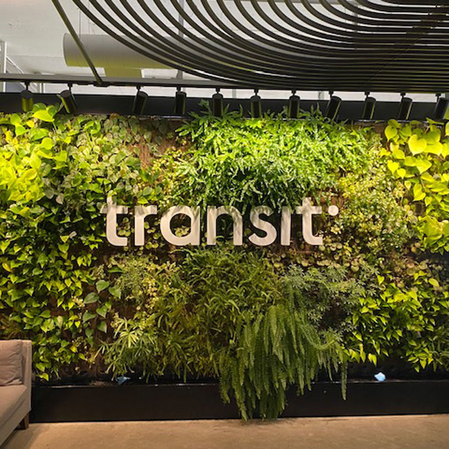 mur végétal hydroponique - La ligne verte - Mur vert Transit - Montréal