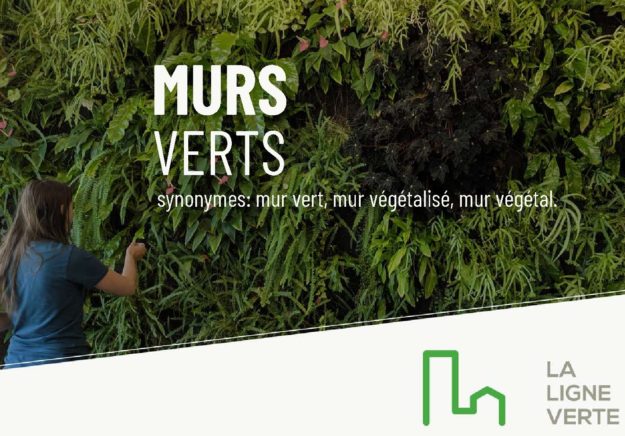 LLV – Murs verts – 2020