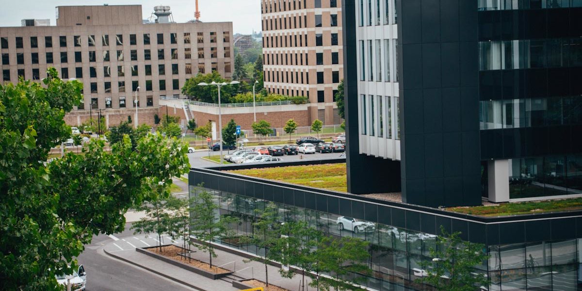 Toiture végétale - toit terrasse - Tour SSQ - Longueuil - La ligne verte (8)