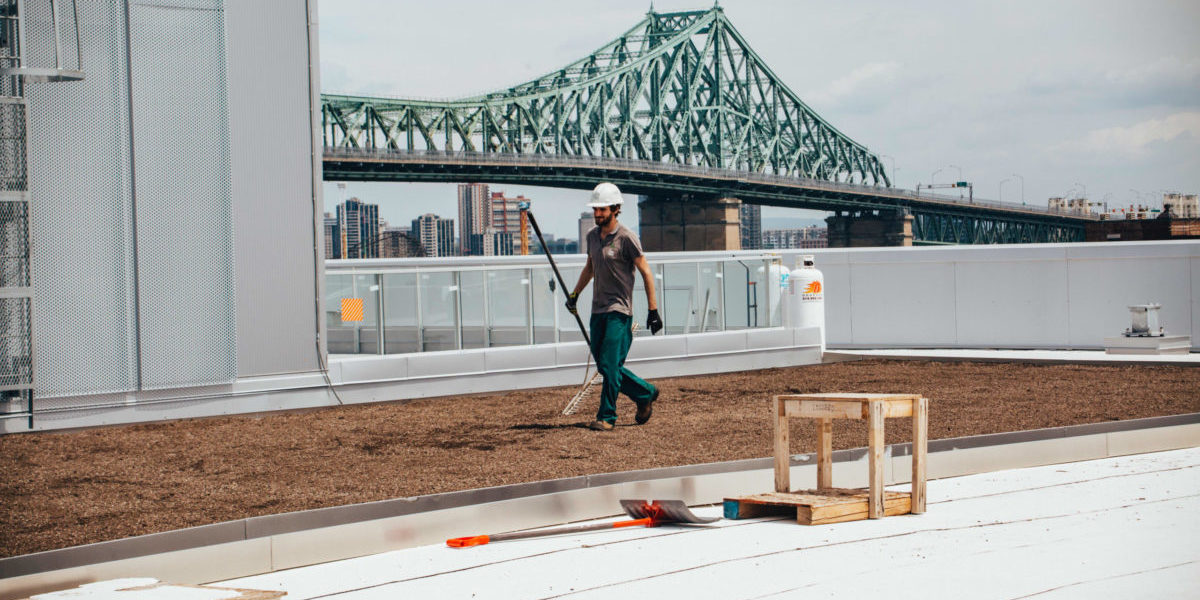 La ligne verte - Radio-Canada - Toiture végétale (1)