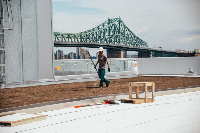 La ligne verte - Radio-Canada - Toiture végétale (1)