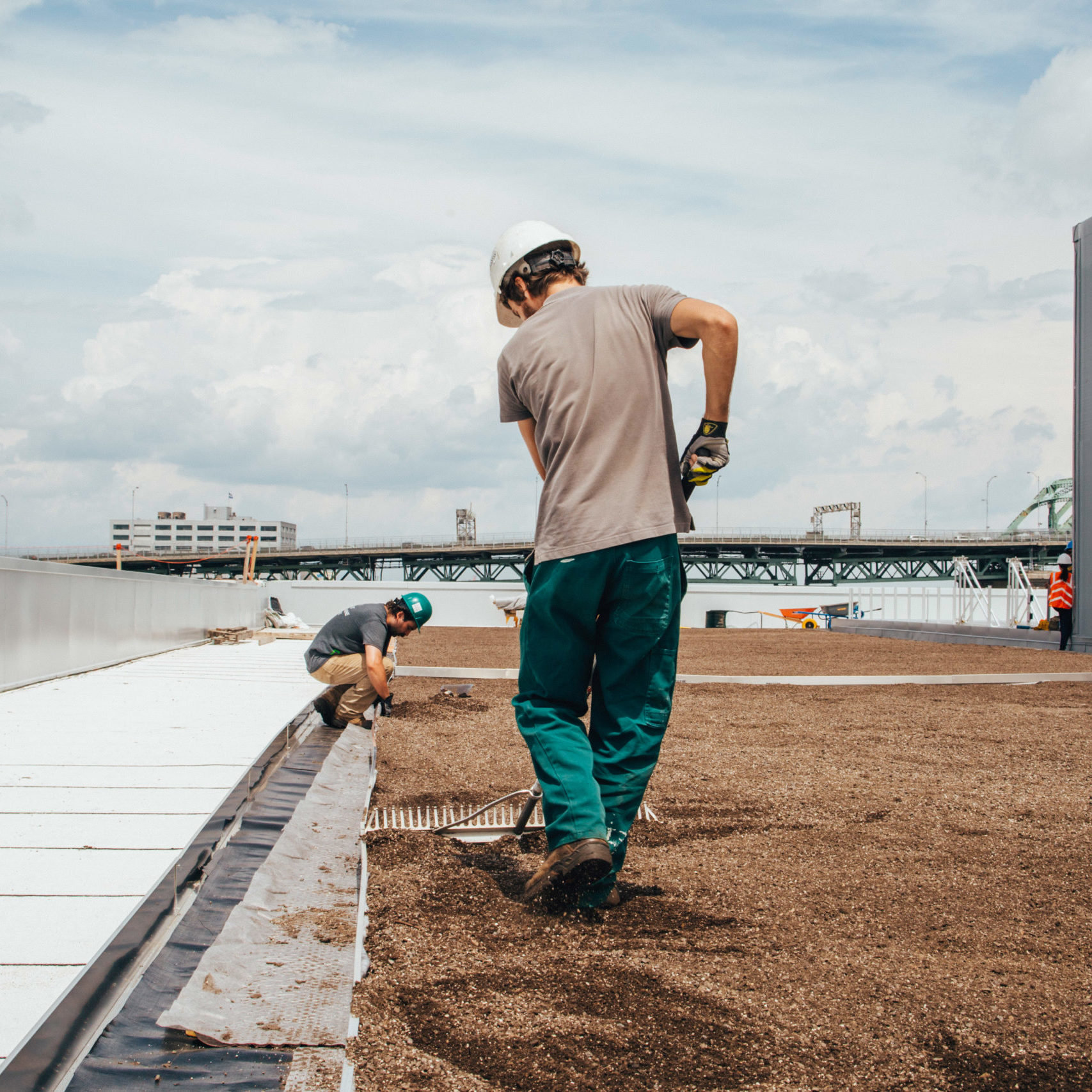 La ligne verte - Radio-Canada - Toiture végétale (3)