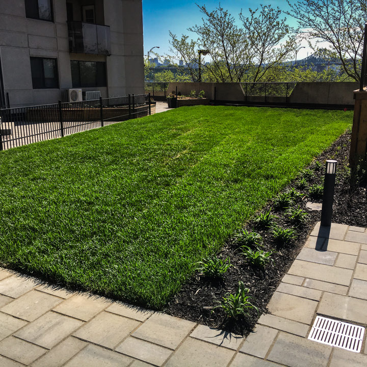 La ligne verte - Toit vert - Estuaire II (10 of 28)