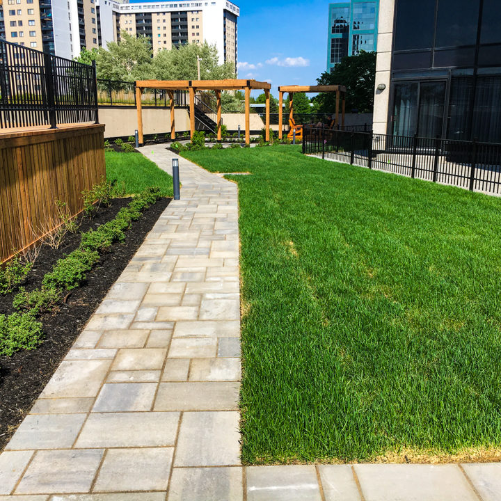 La ligne verte - Toit vert - Estuaire II (11 of 28)