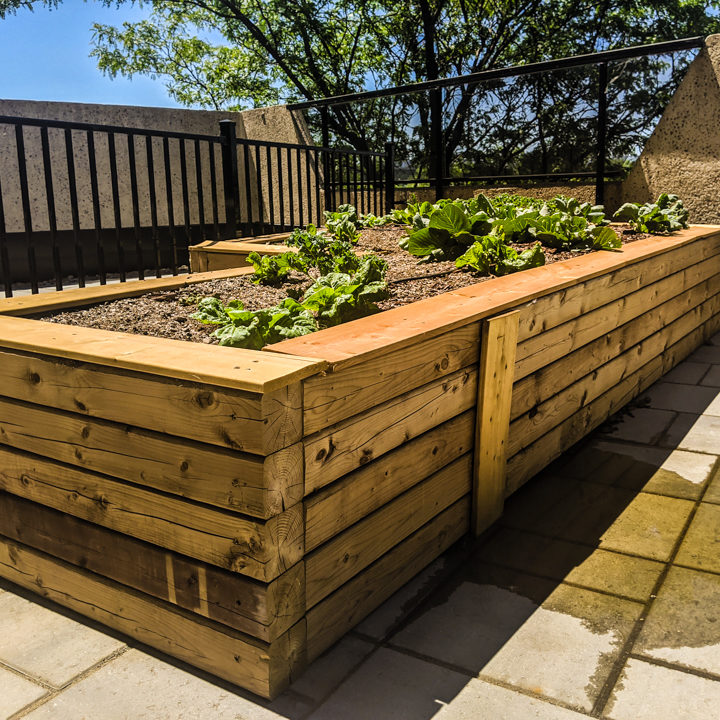 La ligne verte - Toit vert - Estuaire II (12 of 28)