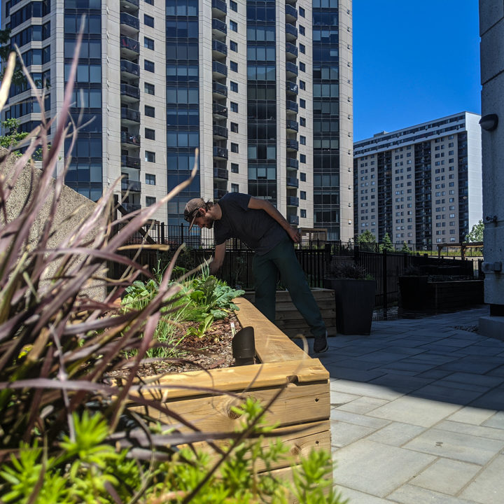 La ligne verte - Toit vert - Estuaire II (18 of 28)