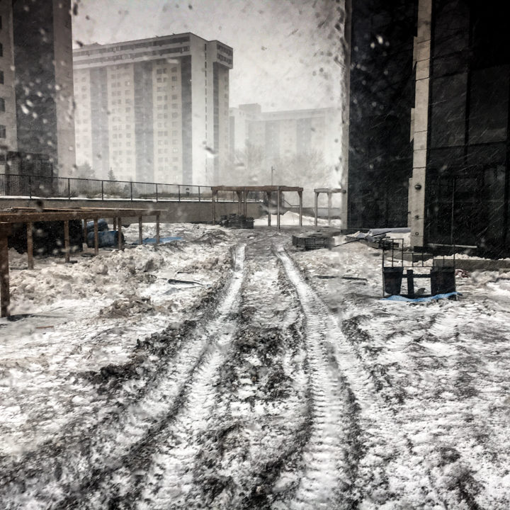 La ligne verte - Toit vert - Estuaire II (5 of 28)