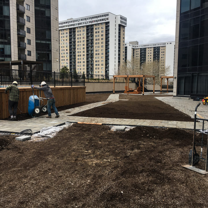 La ligne verte - Toit vert - Estuaire II (6 of 28)