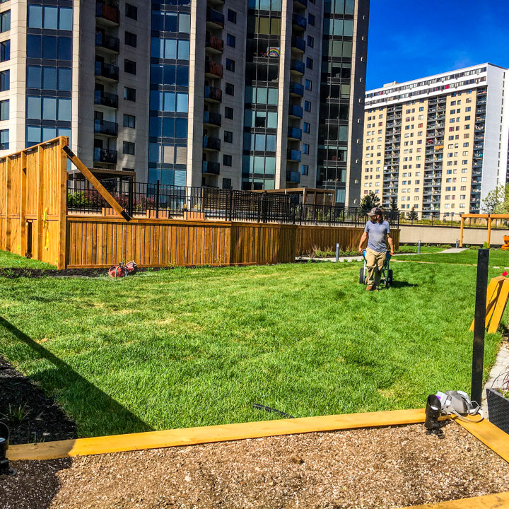 La ligne verte - Toit vert - Estuaire II (9 of 28)