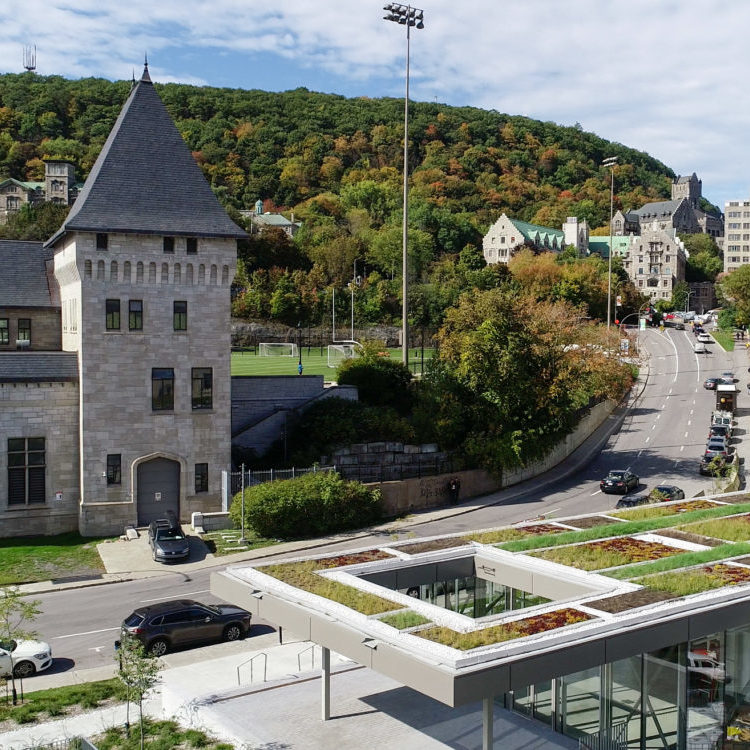 Toit vert - Université McGill - La ligne verte (1)
