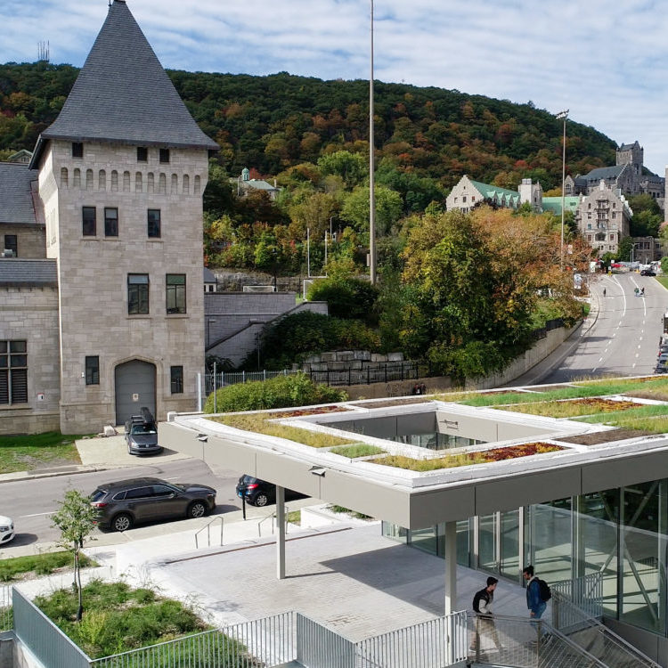 Toit vert - Université McGill - La ligne verte (2)