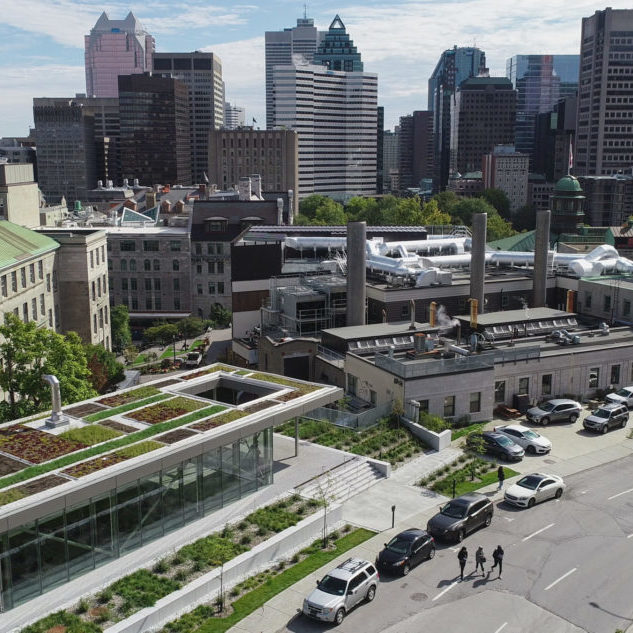 Toit vert - Université McGill - La ligne verte (3)