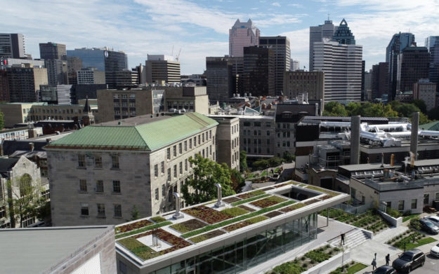 Toit vert - Université McGill - La ligne verte (7)