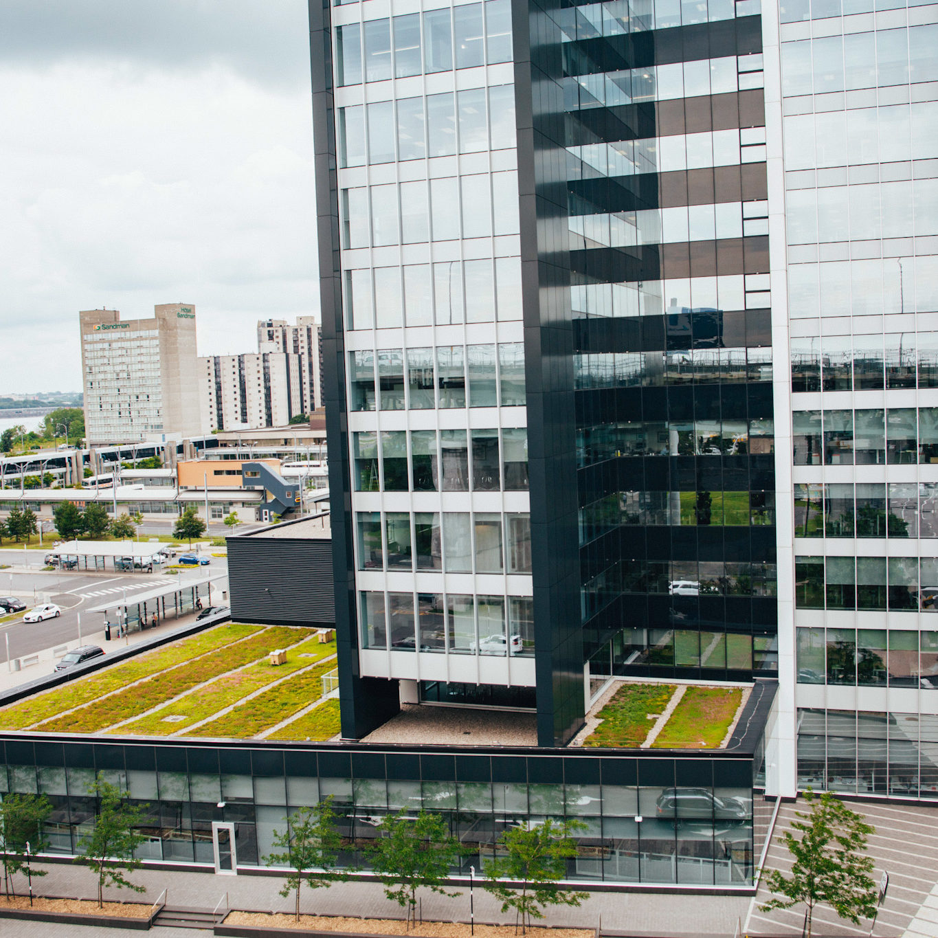 Toiture végétale - toit terrasse - Tour SSQ - Longueuil - La ligne verte (11)