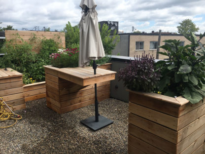 bac en bois - jardin sur terrasse - potager urbain
