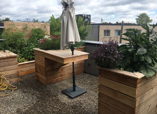 Terrasse - Villeray (1) bac en bois - jardin sur terrasse - potager urbain