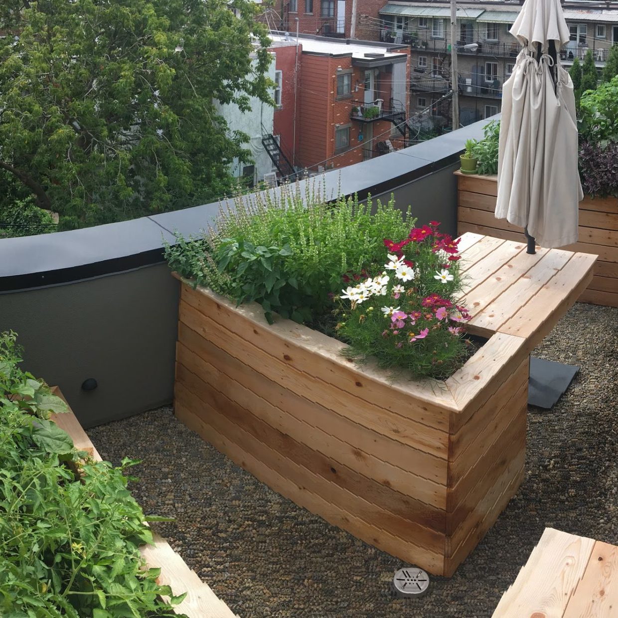 bac en bois - jardin sur terrasse - potager urbain