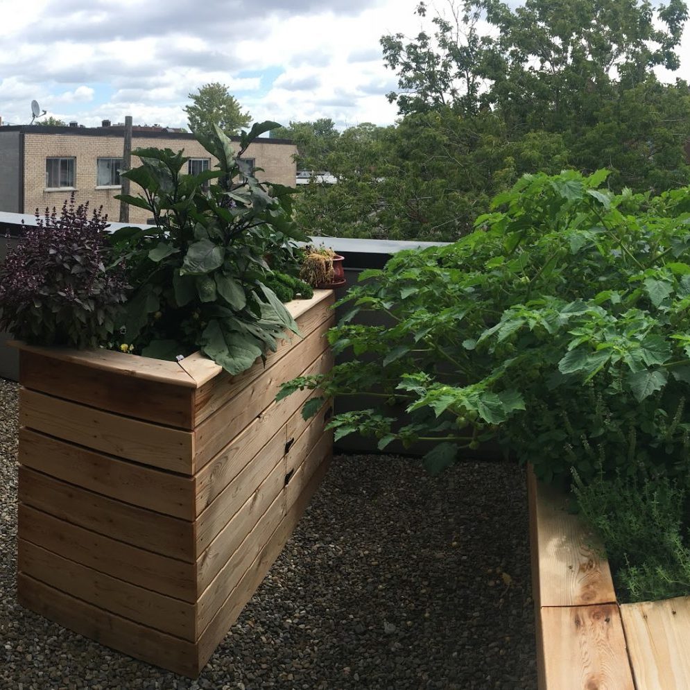 bac en bois - jardin sur terrasse - potager urbain