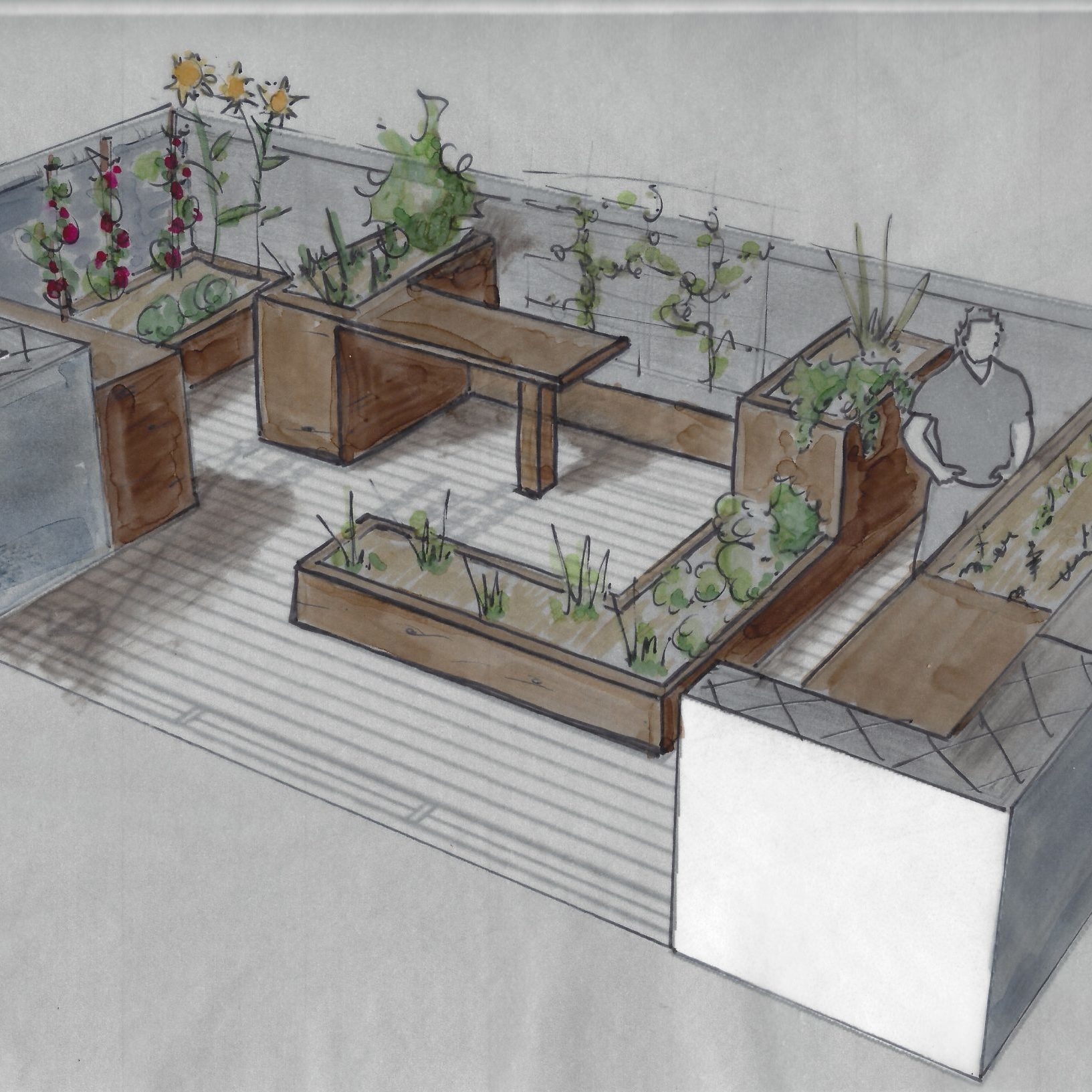 bac en bois - jardin sur terrasse - potager urbain