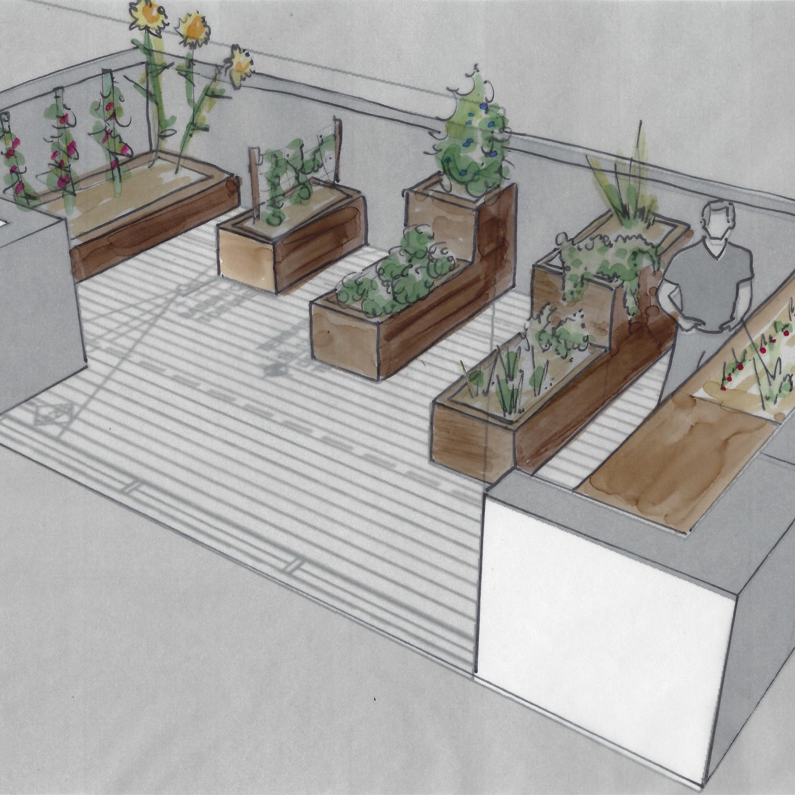 bac en bois - jardin sur terrasse - potager urbain