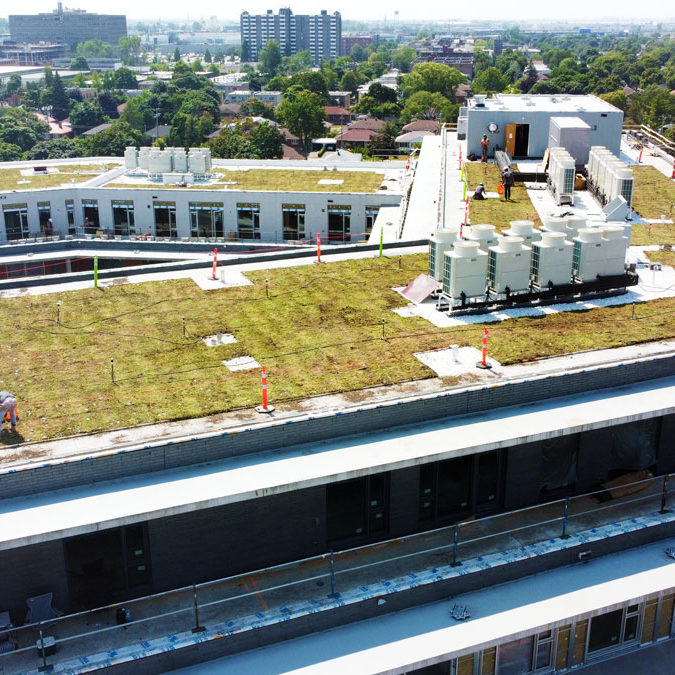 La-ligne-verte-Midtown-toit-vert