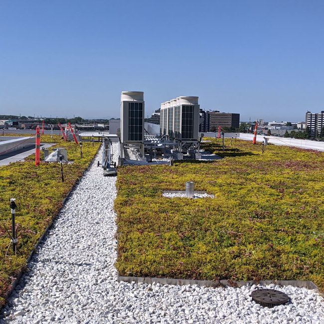La-ligne-verte-Midtown-toit-vert