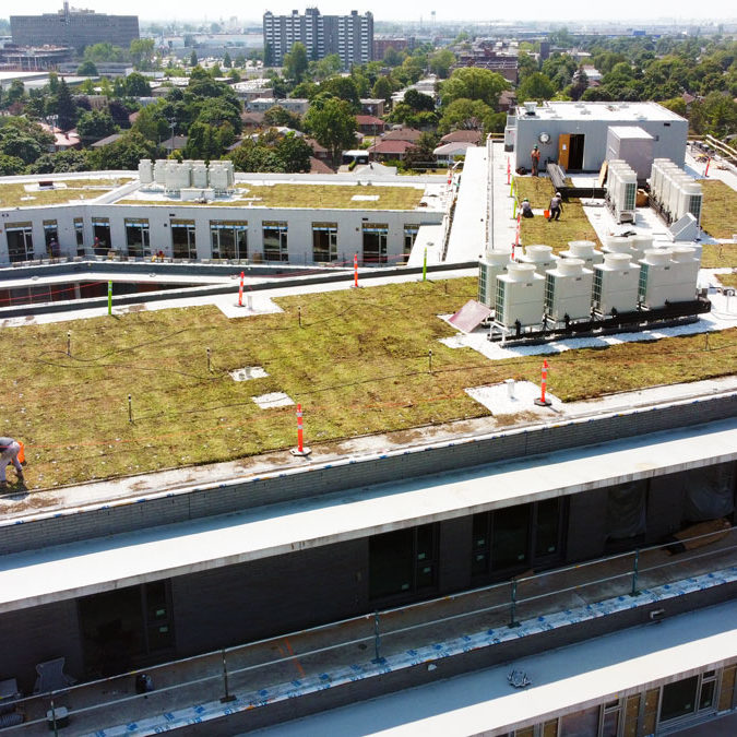 La-ligne-verte-Midtown-toit-vert