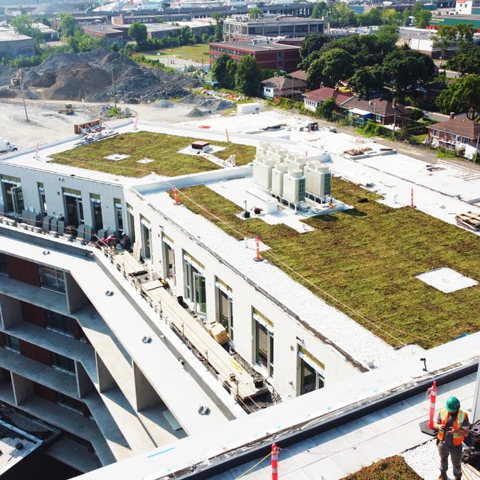 La-ligne-verte-Midtown-toit-vert