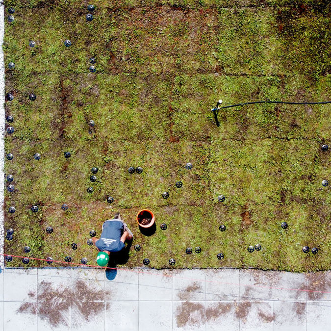 La-ligne-verte-Midtown-toit-vert