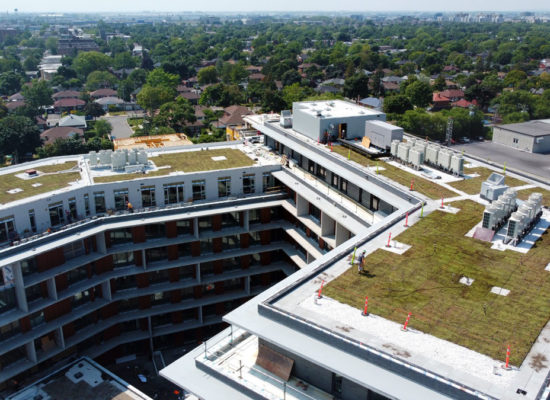 La-ligne-verte---Midtown---toit-vert-(7) La-ligne-verte-Midtown-toit-vert