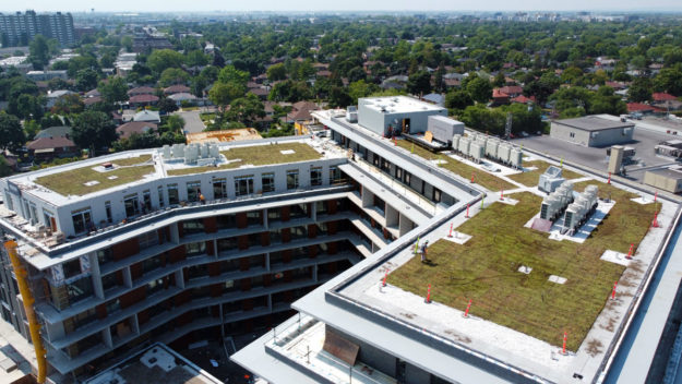 La-ligne-verte-Midtown-toit-vert