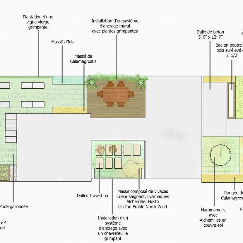 Concept d'aménagement - Espace vert - La ligne verte - Plateau Mont-Royal - Anthime Bion