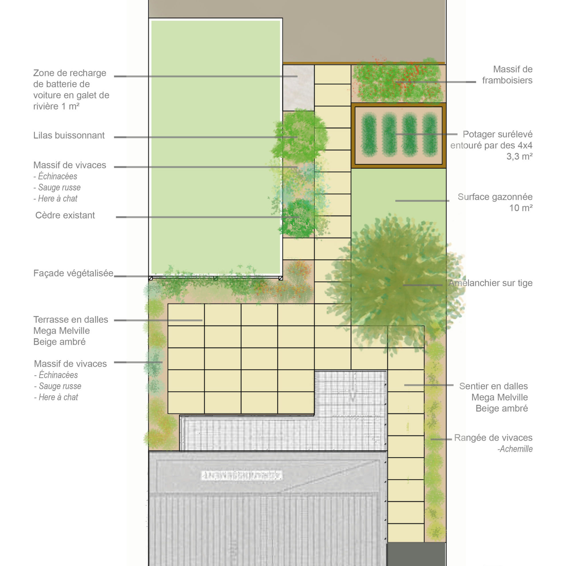 Concept d'aménagement - Jardin - La ligne verte - Plateau Mont-Royal - Anthime Bion