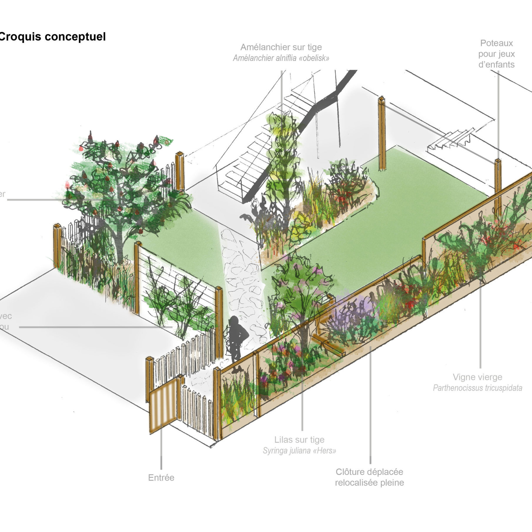 Concept d'aménagement - La ligne verte - Rosemont - Anthime Bion