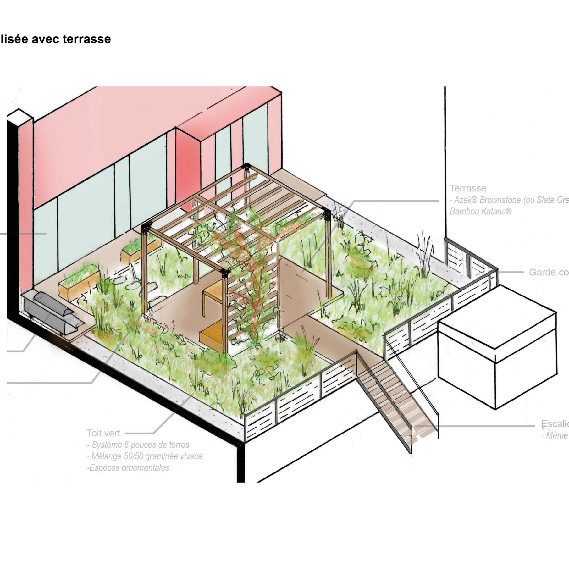 Concept d'aménagement - Toiture végétalisée et pergola - La ligne verte - Rosemont - Anthime Bion