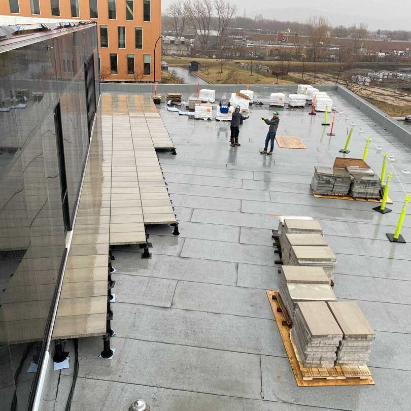 Toiture végétale et terrasse verte- Technopôle Angus - La ligne verte toit vert.