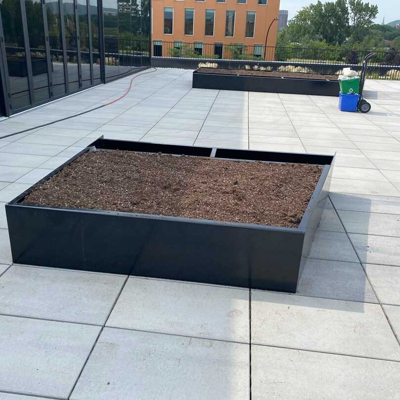 Toiture végétale et terrasse verte- Technopôle Angus - La ligne verte toit vert.