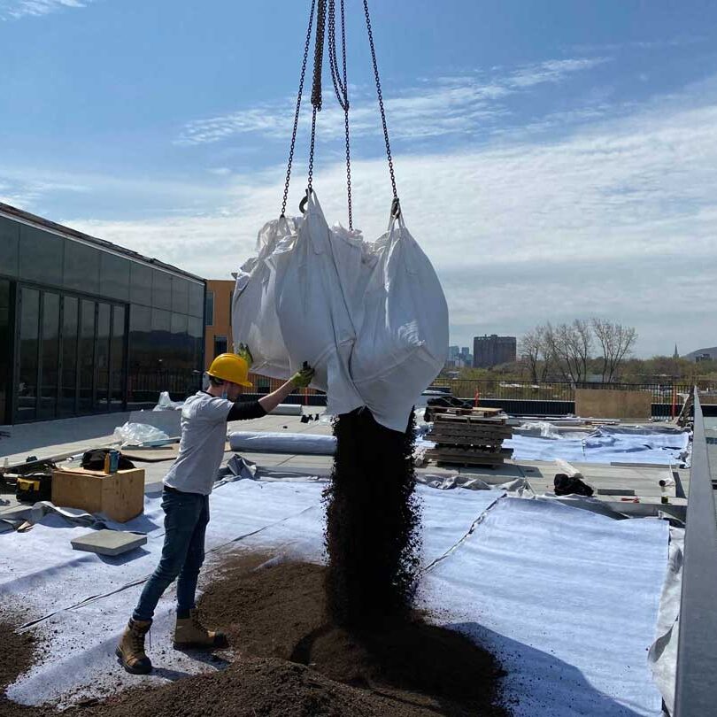 Toiture végétale et terrasse verte- Technopôle Angus - La ligne verte toit vert.