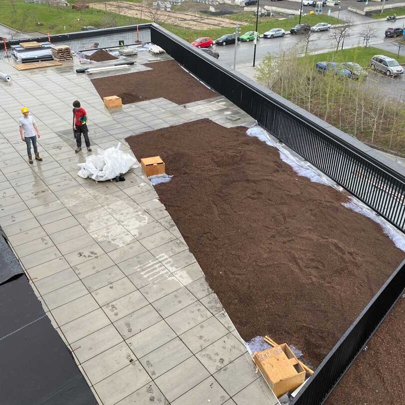 Toiture végétale et terrasse verte- Technopôle Angus - La ligne verte toit vert.