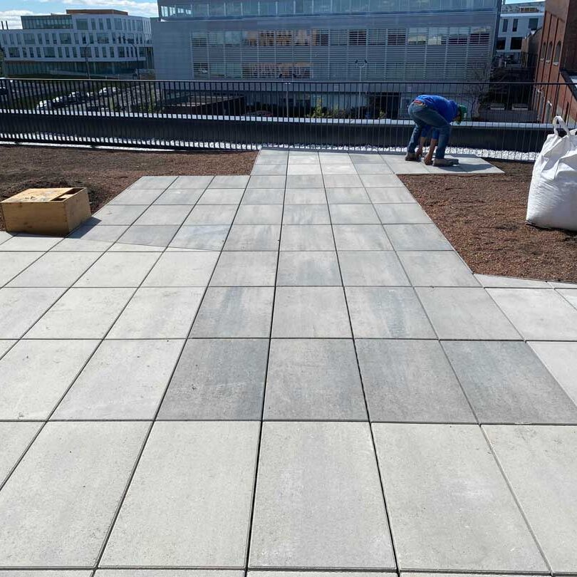 Toiture végétale et terrasse verte- Technopôle Angus - La ligne verte toit vert.