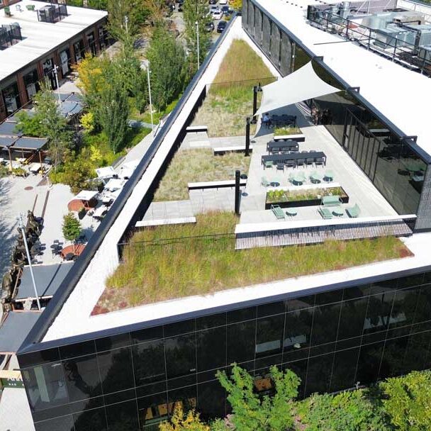 Toiture végétale et terrasse verte- Technopôle Angus - La ligne verte toit vert.