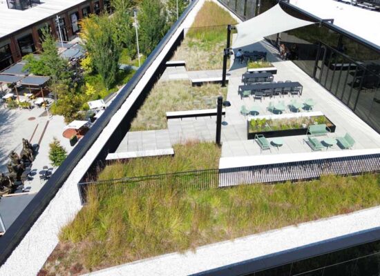 Toiture-végéale- TechnoPôle-Angus-La-ligne-verte-Toit-vert D (2) Toiture végétale et terrasse verte- Technopôle Angus - La ligne verte toit vert.