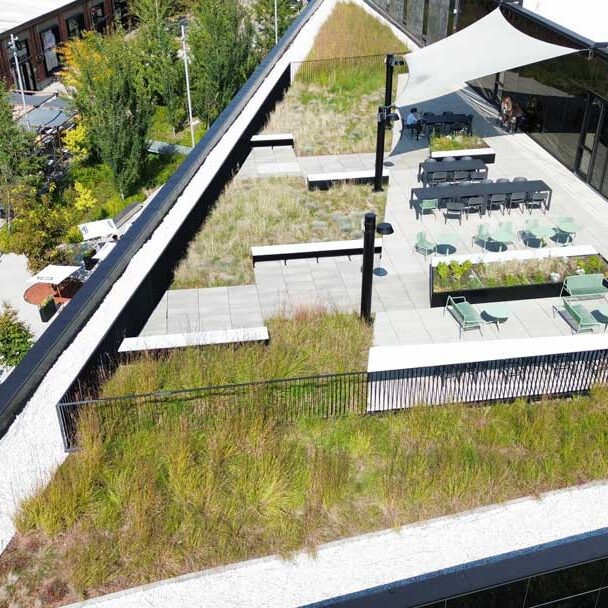 Toiture végétale et terrasse verte- Technopôle Angus - La ligne verte toit vert.