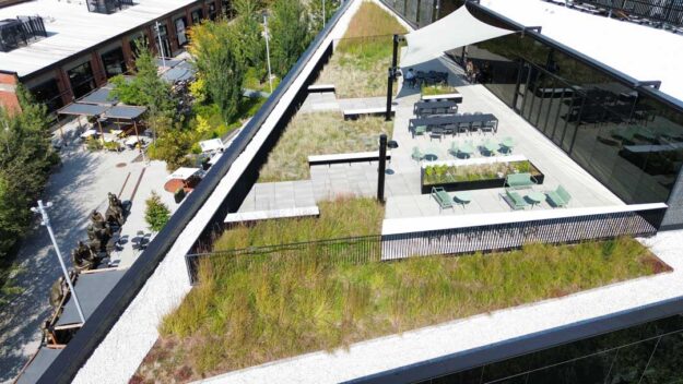 Toiture végétale et terrasse verte- Technopôle Angus - La ligne verte toit vert.