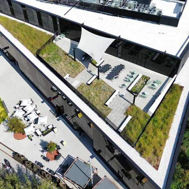 Toiture végétale et terrasse verte- Technopôle Angus - La ligne verte toit vert.