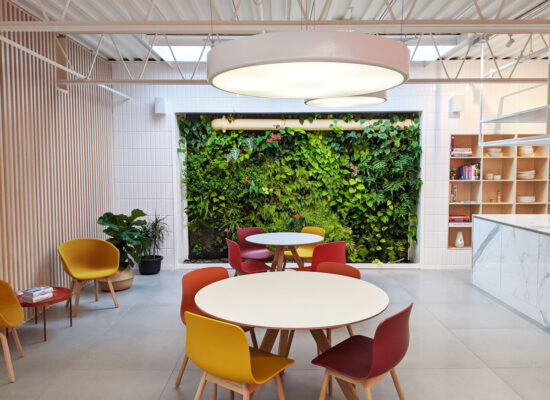 Mur végétal - @La ligne verte - mur vert hydroponique - Rubino