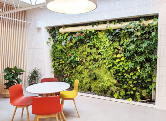 Mur végétal - @La ligne verte - mur vert hydroponique - Rubino